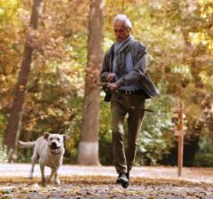 b 240 0 16777215 00 images IMMAGINE orizzontali cane senior al parco rit copy