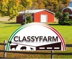 b 240 0 16777215 00 images IMMAGINE simboliegrafica classyfarm copy