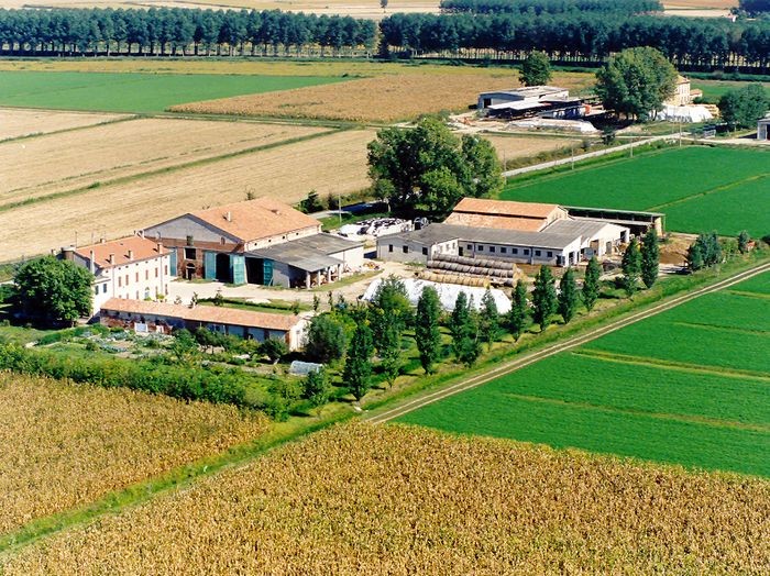 Azienda agricola