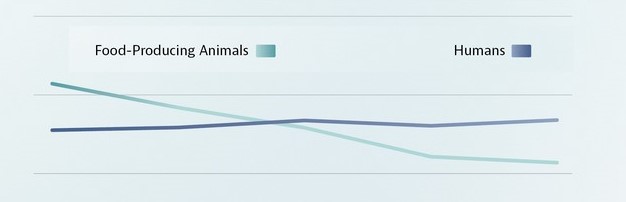 Grafico