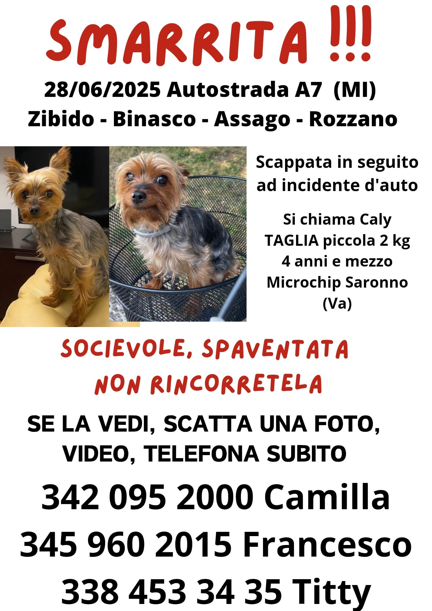 Cane Rubato