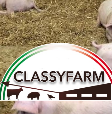 classyfarm copy copy