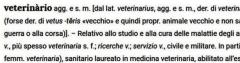 Definizione Veterinario