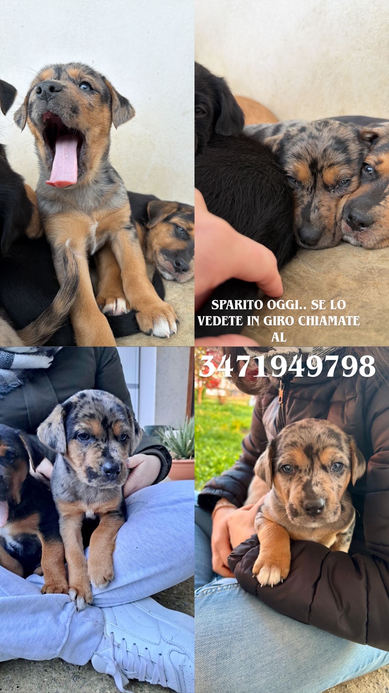 6C70CBEF 7446 45AF 8D2E 886404D2408A