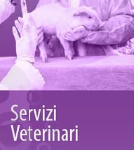 vetinfoserviziveterinari